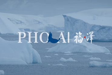 海豹油